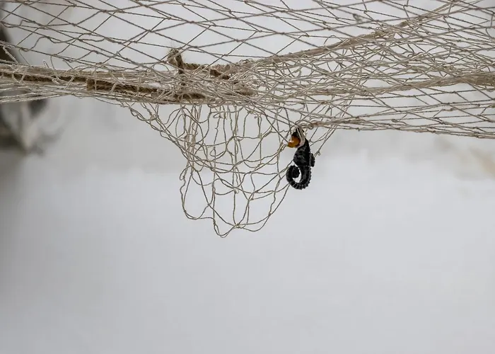 Casa de hóspedes Aquamarina